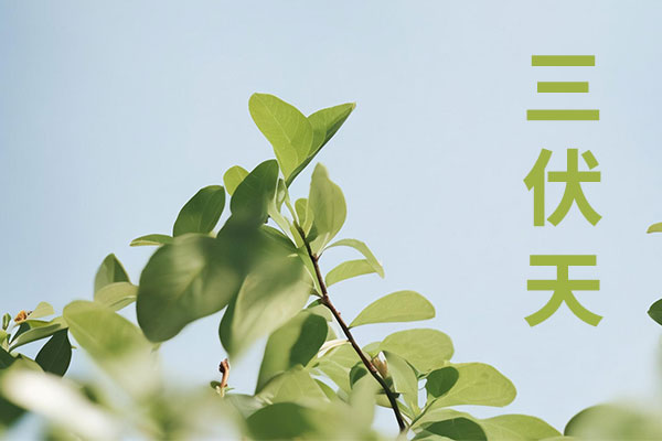 KU酷游官网(中国集团)有限公司