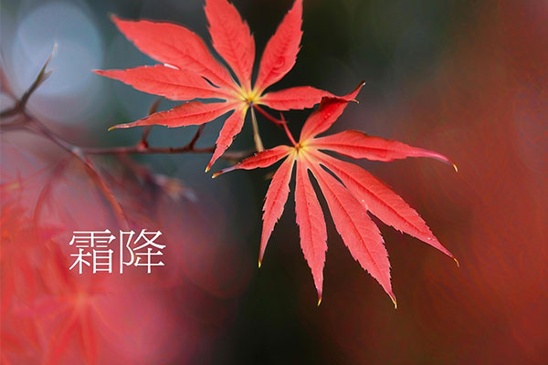 KU酷游官网(中国集团)有限公司